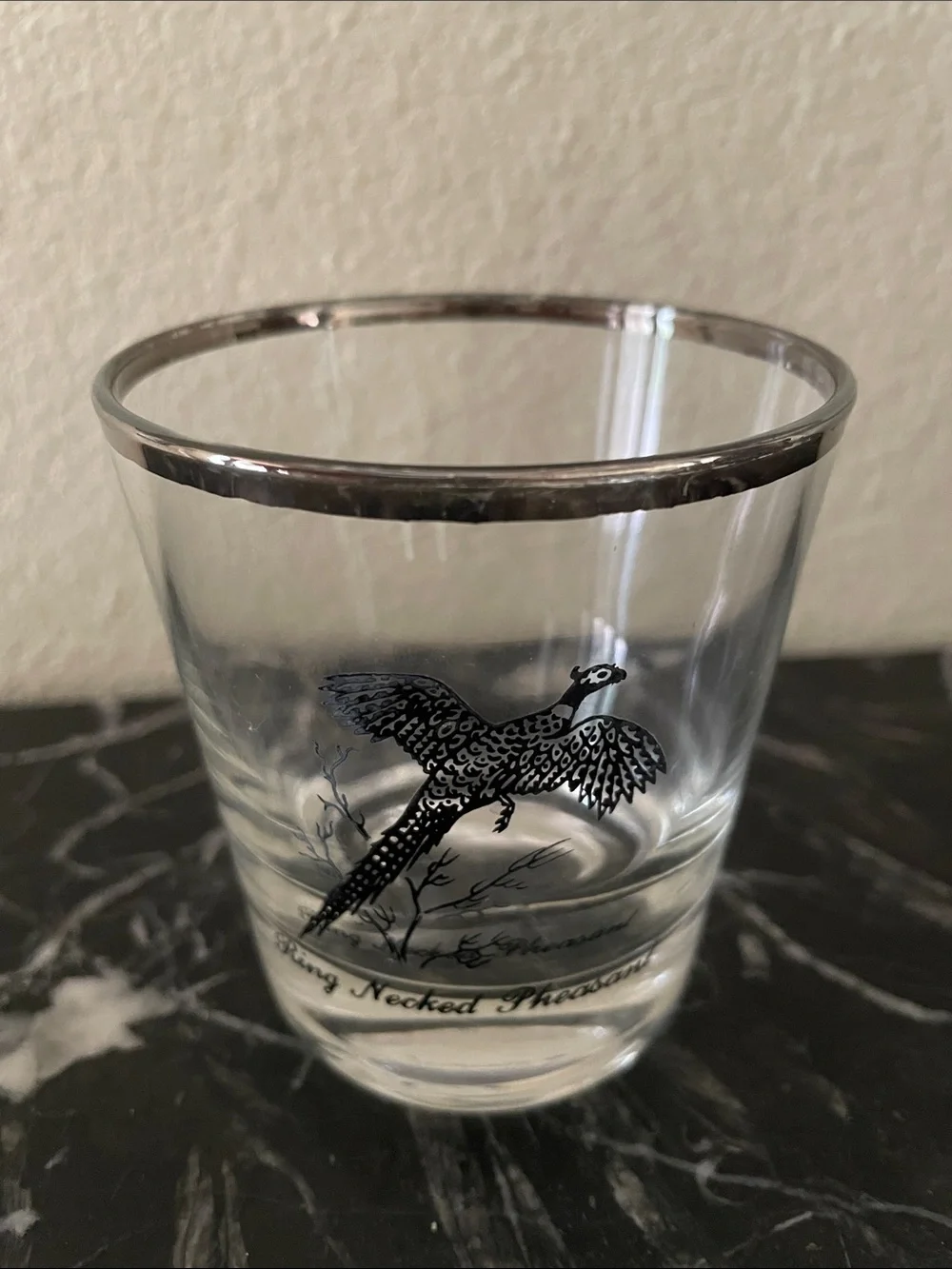 Silver-Rimmed Clear Glass Tumbler with Bird Motif - Set of 4